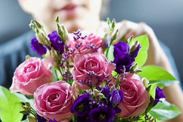 دانلود رایگان Roses Beau Fleurs - عکس یا تصویر رایگان قابل ویرایش با ویرایشگر تصویر آنلاین GIMP