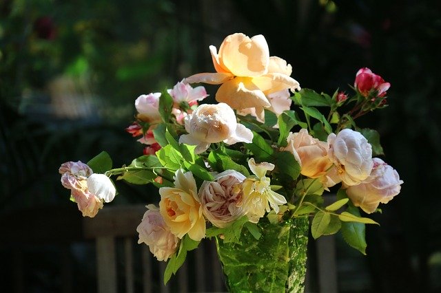 Unduh gratis Roses Bouquet Flowers - foto atau gambar gratis untuk diedit dengan editor gambar online GIMP