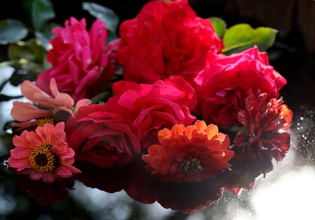 Téléchargement gratuit de Bouquet de fleurs de roses - photo ou image gratuite à modifier avec l'éditeur d'images en ligne GIMP