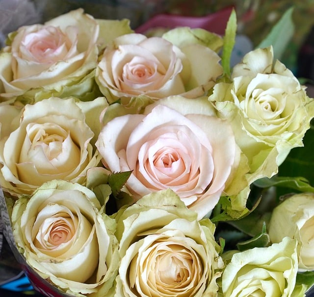 Free download roses flowers bouquet nature bloom free picture to be edited with GIMP free online image editor