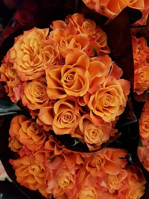 Descarga gratuita Roses Flowers Bouquets Autumn - foto o imagen gratuita para editar con el editor de imágenes en línea GIMP