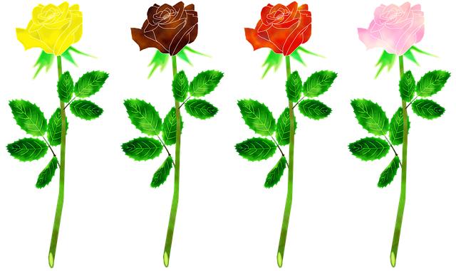 Free download Roses Flowers Plant Rose -  free illustration to be edited with GIMP free online image editor