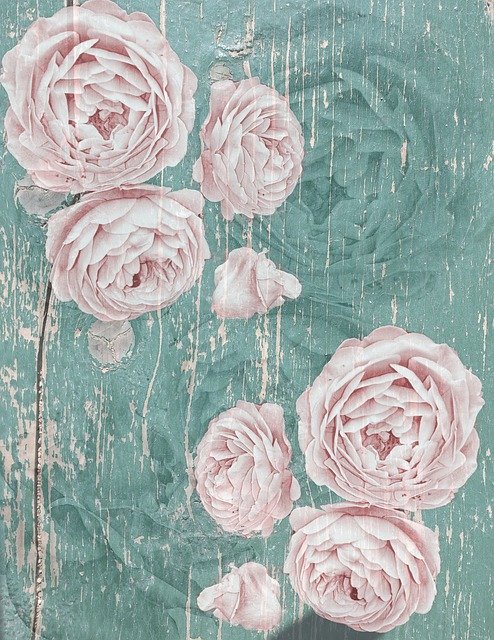 Free download Rose Shabby Chic Vintage -  free illustration to be edited with GIMP free online image editor