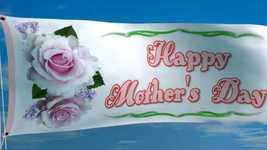 Free download Roses Happy Decoration -  free video to be edited with OpenShot online video editor