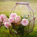 Roses in basket  screen for extension Chrome web store in OffiDocs Chromium