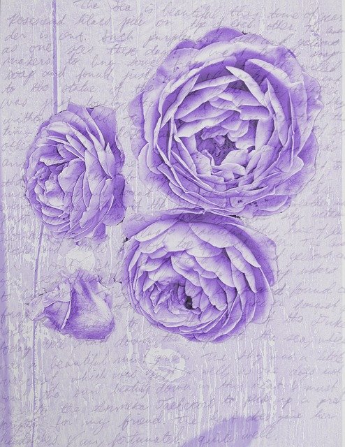 Free download Roses Romantic Paper -  free illustration to be edited with GIMP free online image editor