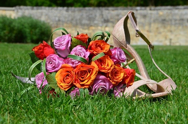 تحميل مجاني Roses Wedding Bride - صورة مجانية أو صورة لتحريرها باستخدام محرر الصور عبر الإنترنت GIMP