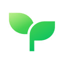 Rote  screen for extension Chrome web store in OffiDocs Chromium