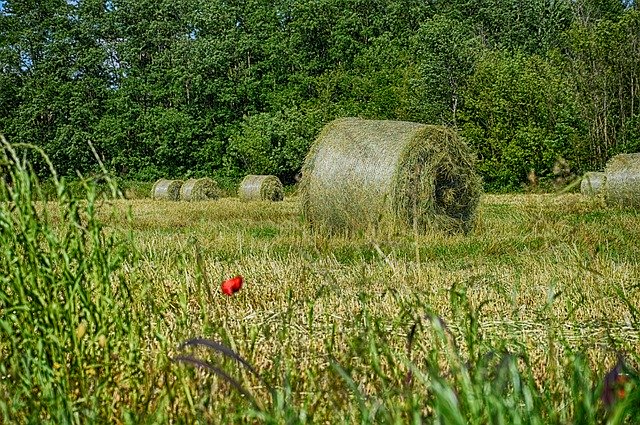 Free picture Rotoball Hay Countryside -  to be edited by GIMP free image editor by OffiDocs