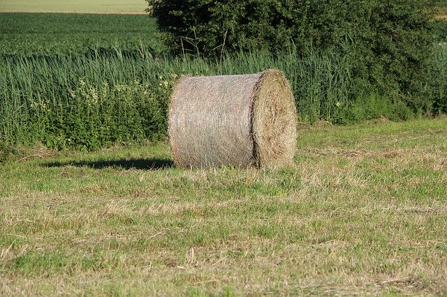 Free download Round Bales Nature Agriculture -  free photo or picture to be edited with GIMP online image editor