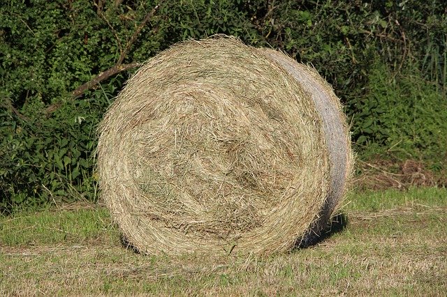 Unduh gratis Round Bales Nature Hay - foto atau gambar gratis untuk diedit dengan editor gambar online GIMP