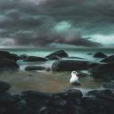 Round stone beach  screen for extension Chrome web store in OffiDocs Chromium