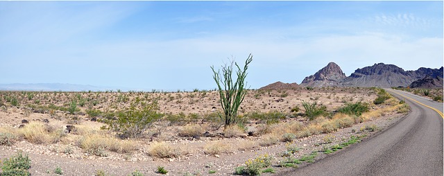 Free download route66 usa arizona america free picture to be edited with GIMP free online image editor