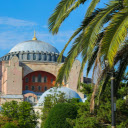 Row of trees outside the castle  screen for extension Chrome web store in OffiDocs Chromium