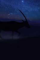 Free download rsz_fragile_wallpaper_7 free photo or picture to be edited with GIMP online image editor