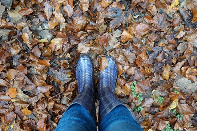 Free download Rubber Boots Autumn Rain -  free free photo or picture to be edited with GIMP online image editor