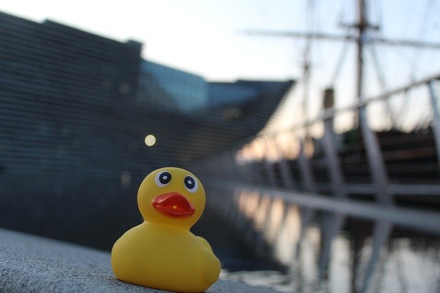 Free download rubber duck dundee scotland water free picture to be edited with GIMP free online image editor