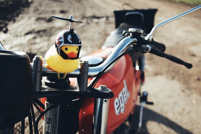 Baixe gratuitamente a imagem gratuita do motociclista do patinho de borracha para ser editada com o editor de imagens on-line gratuito do GIMP