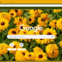 Rudbeckia  screen for extension Chrome web store in OffiDocs Chromium