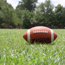 Rugby  screen for extension Chrome web store in OffiDocs Chromium