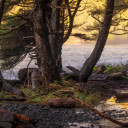 Rugged Coastline at Golden Hour  screen for extension Chrome web store in OffiDocs Chromium
