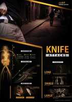 Free download Rumiyah 4 EN free photo or picture to be edited with GIMP online image editor