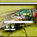 Ruoi  screen for extension Chrome web store in OffiDocs Chromium