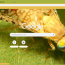 Ruoi vang  screen for extension Chrome web store in OffiDocs Chromium