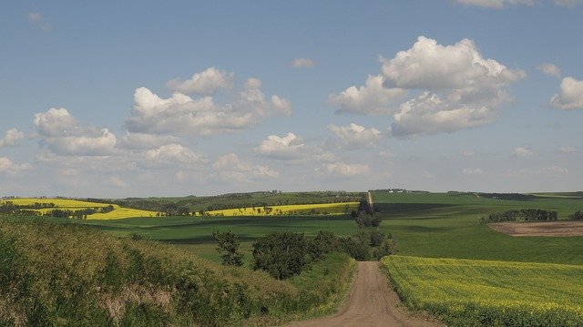 Descarga gratuita Rural Country Road Horizon - foto o imagen gratuita para editar con el editor de imágenes en línea GIMP