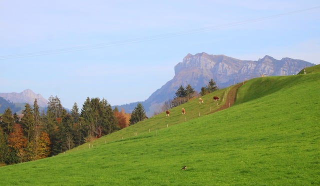 Free download rural landscape alpine landscape free picture to be edited with GIMP free online image editor
