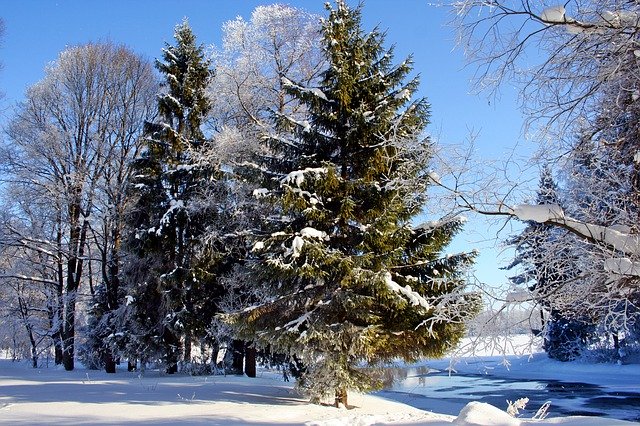 Unduh gratis Russian Winter Zimushka - foto atau gambar gratis untuk diedit dengan editor gambar online GIMP