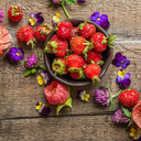 Rustic Summer Bounty  screen for extension Chrome web store in OffiDocs Chromium