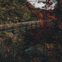 Rustic Wooden Bridge in Autumn Forest Setting  screen for extension Chrome web store in OffiDocs Chromium