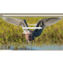 Rusty Heron  screen for extension Chrome web store in OffiDocs Chromium