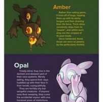 Free download Sableye Forms free photo or picture to be edited with GIMP online image editor