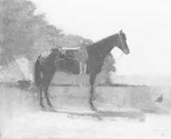 Free download Saddle Horse in Farm Yard free photo or picture to be edited with GIMP online image editor