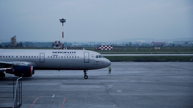 Free download saeroflot aeroflot amolet large free picture to be edited with GIMP free online image editor