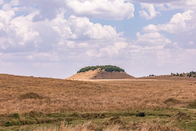 Free download safari landscape nature savannah free picture to be edited with GIMP free online image editor