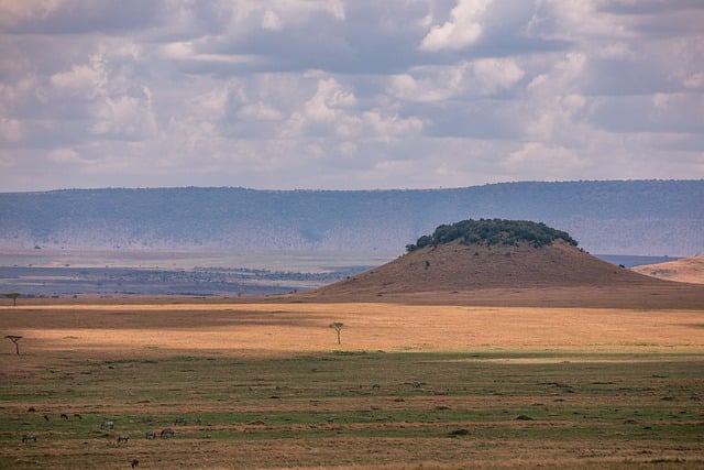 Free download safari nature landscape animals free picture to be edited with GIMP free online image editor