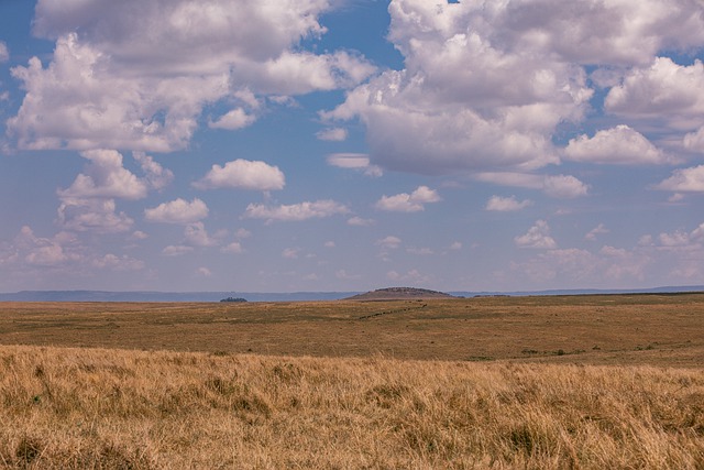Free download safari nature landscape savannah free picture to be edited with GIMP free online image editor