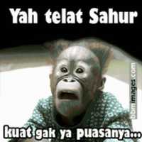 Free download sahur-8 free photo or picture to be edited with GIMP online image editor