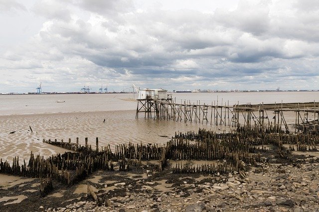 Kostenloser Download Saint-Nazaire Fishing Sea Bridge - kostenloses Foto oder Bild zur Bearbeitung mit GIMP Online-Bildbearbeitung