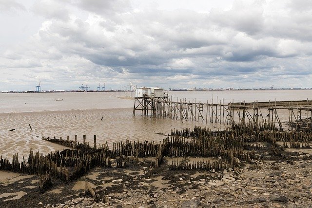 Free download Saint-Nazaire Fishing Sea Bridge -  free photo or picture to be edited with GIMP online image editor