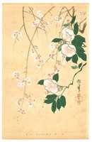Free download Sakai Hoitsu (Japanese, 1761-1828) free photo or picture to be edited with GIMP online image editor