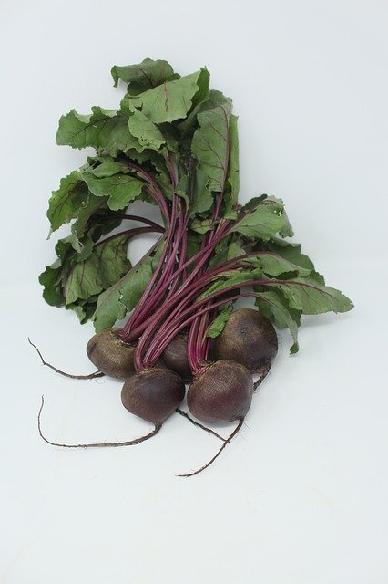 Free picture Sakata Beetroot Redace -  to be edited by GIMP free image editor by OffiDocs