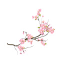 Sakura Harmony  screen for extension Chrome web store in OffiDocs Chromium
