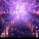 Sakura River at Night  screen for extension Chrome web store in OffiDocs Chromium