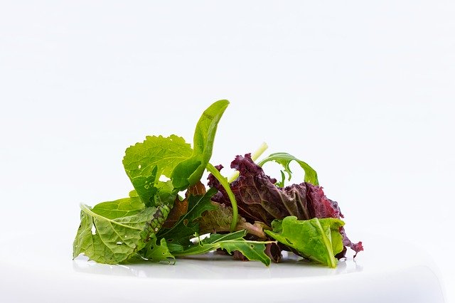 Download gratuito Salad Green Nature - foto o immagine gratuita da modificare con l'editor di immagini online di GIMP