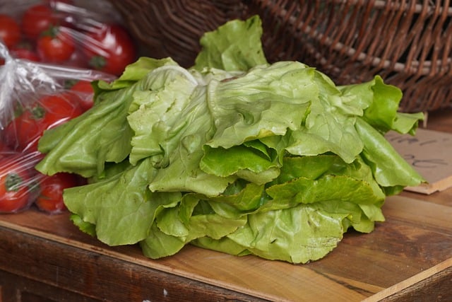 Free download salad vegetables nourishment food free picture to be edited with GIMP free online image editor