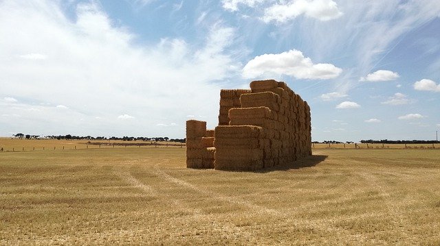 تنزيل Salamanca Campo Nature مجانًا - صورة مجانية أو صورة لتحريرها باستخدام محرر الصور عبر الإنترنت GIMP